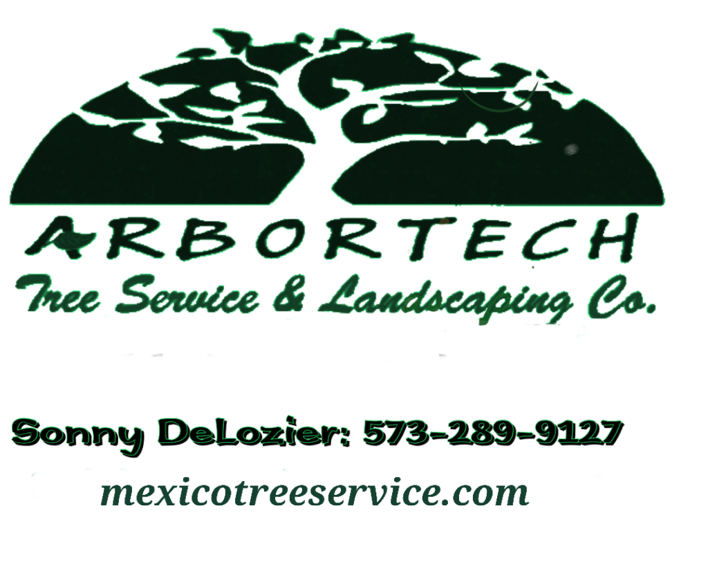 our logo